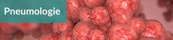 Fachbereichsseite Pneumologie